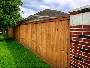 Fence